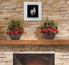 18 cm x 20 cm Ölçü Gümüş Renk Lalegül Tablo Çerçeve