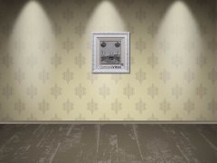 50 cm x 52 cm Beyaz Gümüş Renk Kabe Pano